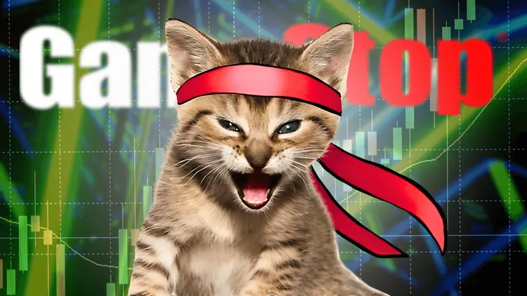 GameStop and AMC's Meteoric Rise: The Meme Stock Phenomenon