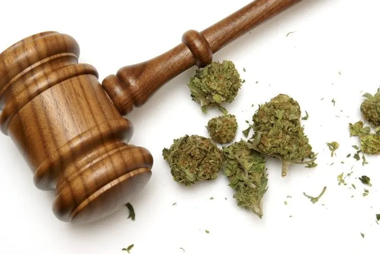 Company files lawsuit after being denied cannabis license in Utah