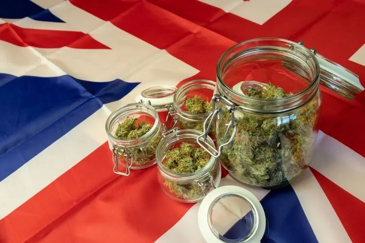 UK CBD market to reach 1.2bn this year