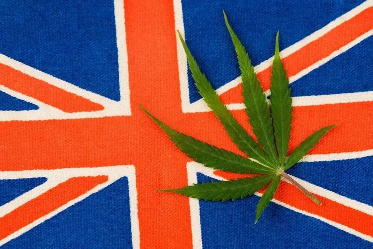UK introduces the Cannabis Patient Card