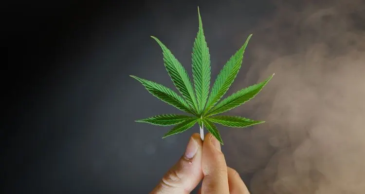 Year in review: Cannabis laws in the U.S.