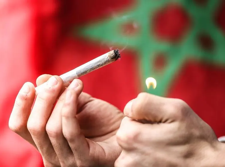 Morocco will pass new cannabis law this year