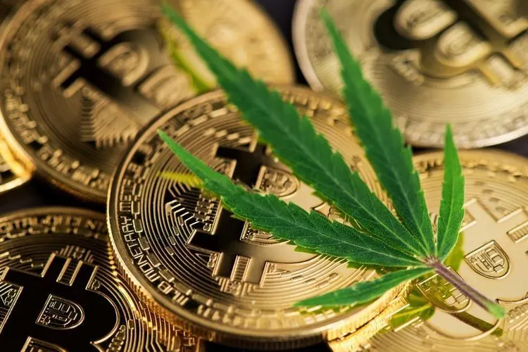 Illegal Bitcoin mining farm discovered in Britain