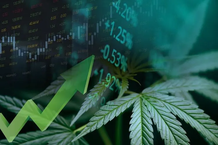 Could a cannabis stock become the next meme stock?
