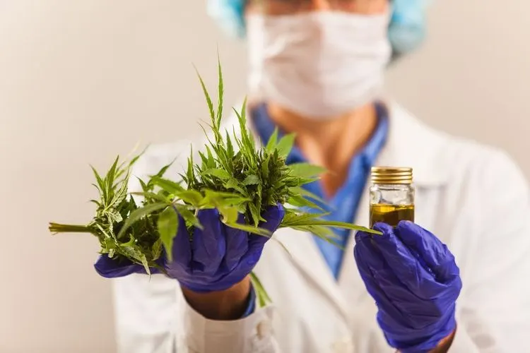 UN changes its classification of cannabis as a dangerous drug