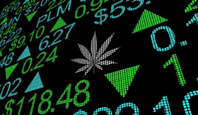 Cannabis stocks are gaining momentum