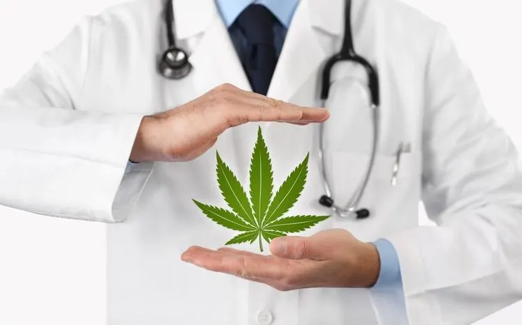 Milestone reached for number of Massachusetts cannabis patients