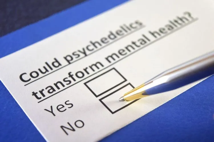 University of California starts major research program on psychedelics