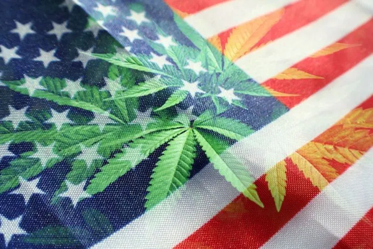 House of Representatives paves way for full country-wide legalisation