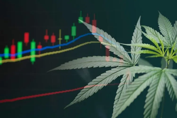Canopy Growth stocks are falling