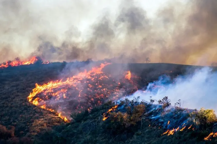 Lawn mower causes large California wildfire