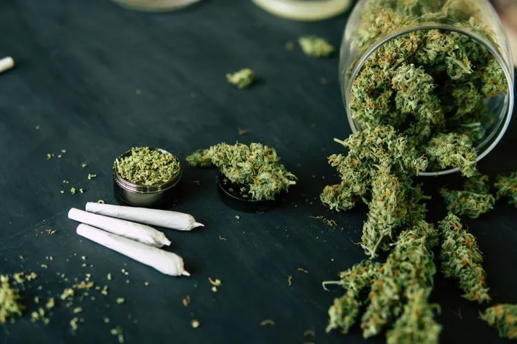 HADCO enters agreement with medical cannabis company