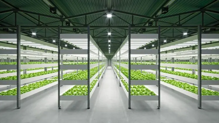 GrowGeneration wants to take over operators of hydroponics