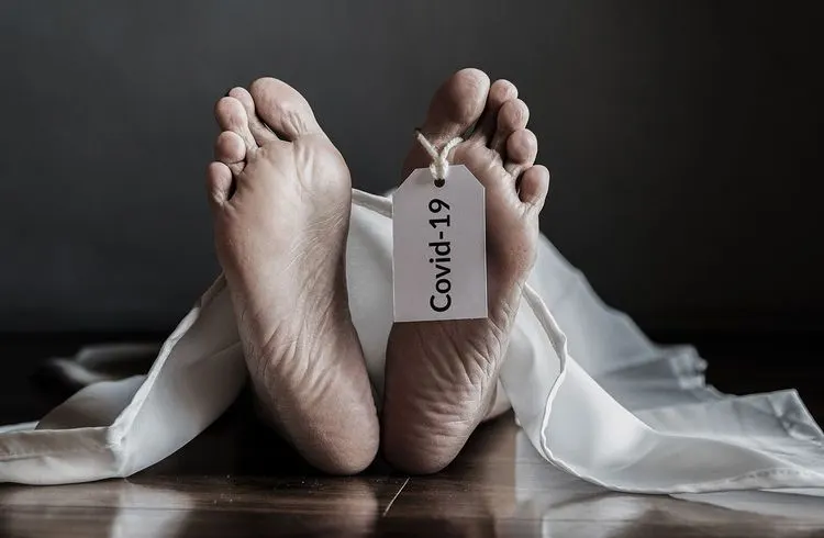 US government publishes study: unvaccinated bear sole blame for vaccination side effects
