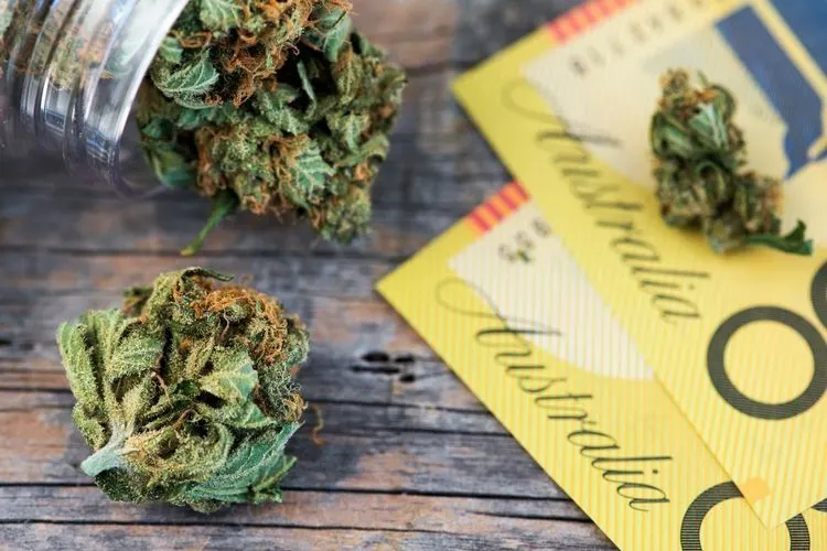 Australia is allowing CBD sales without prescription