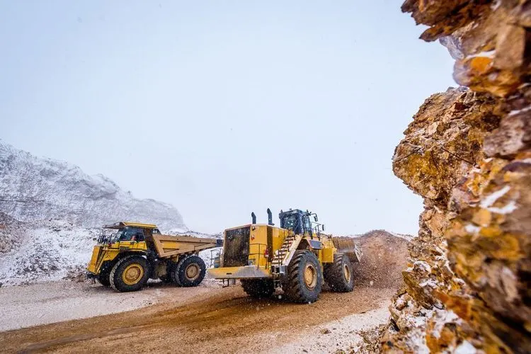 Rodents may keep Gold Fields from Exploring their Chilean Gold Deposit