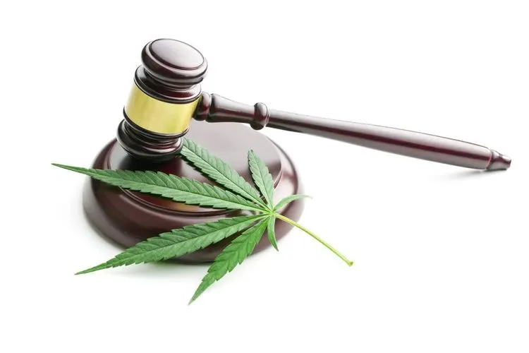 Legislators are driving decriminalization