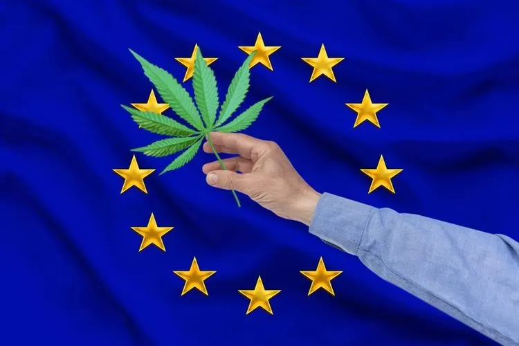 Europe could raise the legal cannabis level