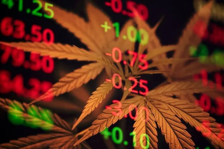 Should you bet on smaller cannabis stocks now?