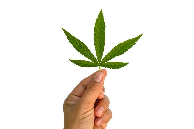 Super Bowl without cannabis advertising