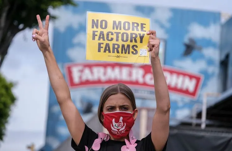 Climate activists are suing UK government over food strategy