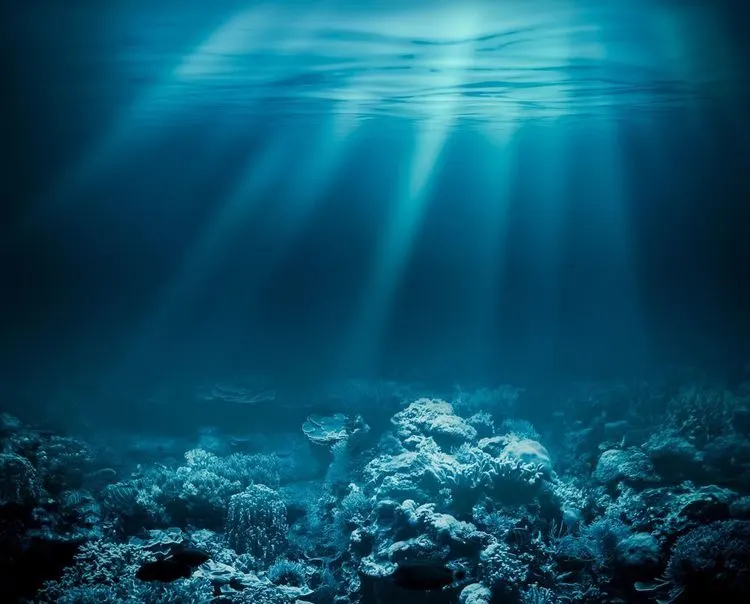 High Tech Deep Sea Mining Robot lost at bottom of the pacific