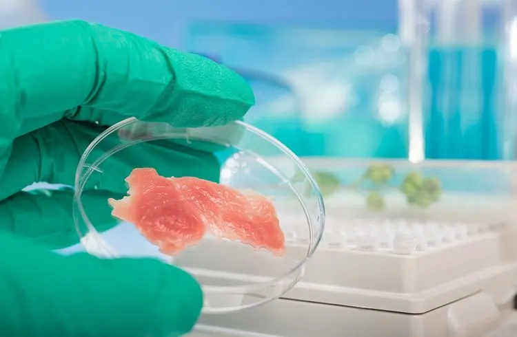 USA allow sale of lab meat