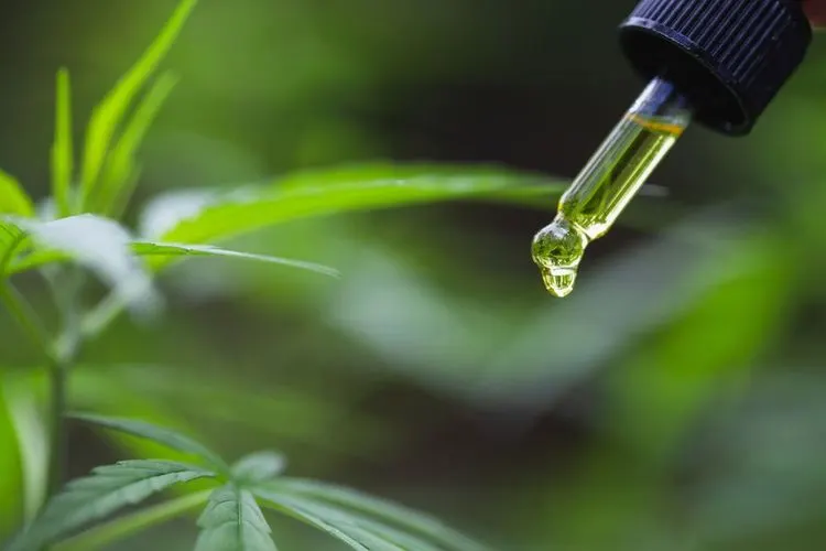 The growing CBD market will be decided over logistics