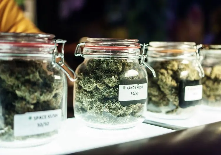 Drop in drug-related deaths related to more liberal cannabis policies