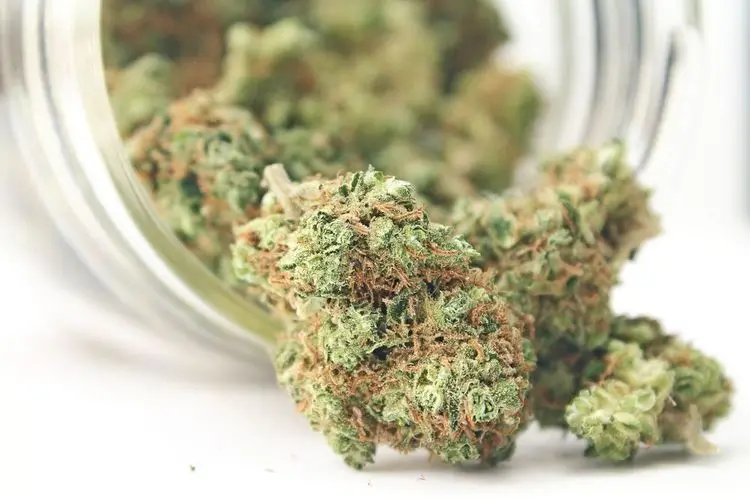 Which weed is the strongest?