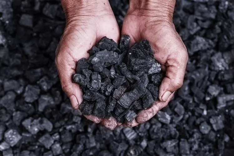 Researchers turn coal into graphite - in a microwave
