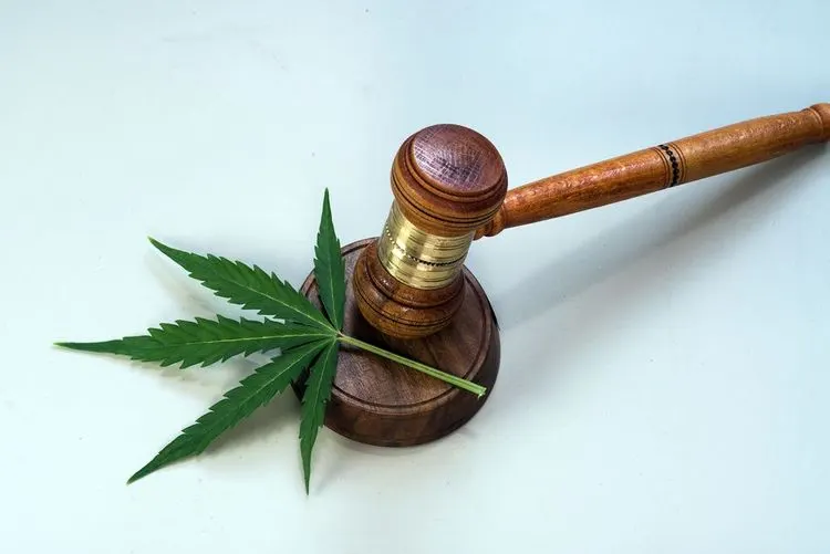 Luxembourg becomes the first country in Europe to legalize cannabis