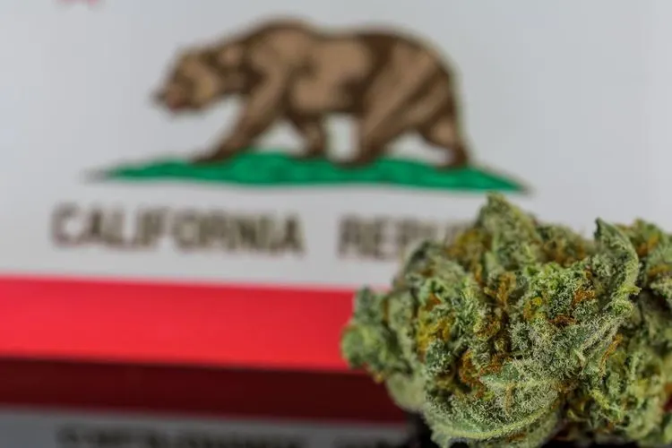 The California Cannabis Equity Alliance demands stronger Social Equity focus