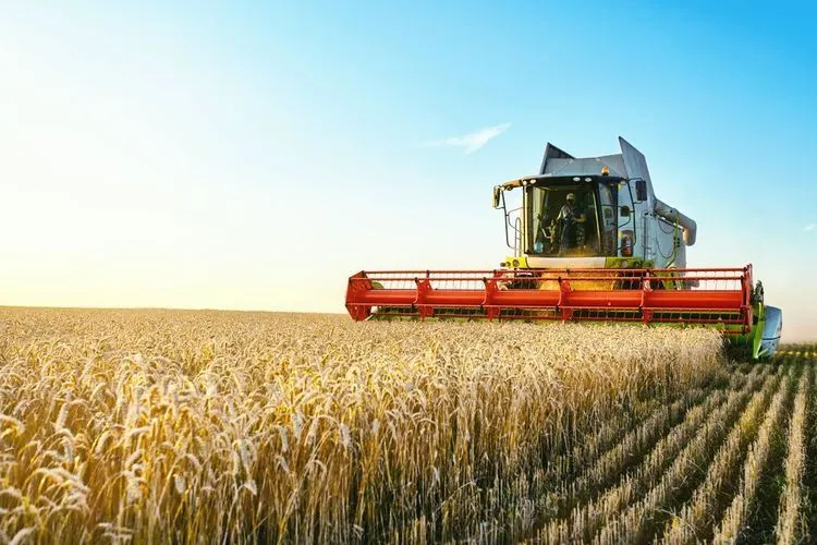 Wheat and nickel prices hit record highs