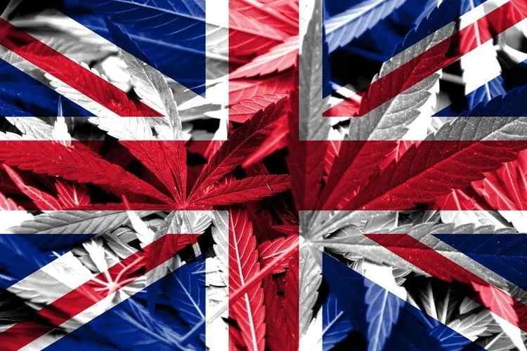 Vape CEO Avihu Tamir sees London as Europe´s cannabis capital