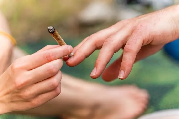 The next wave in the cannabis bull market