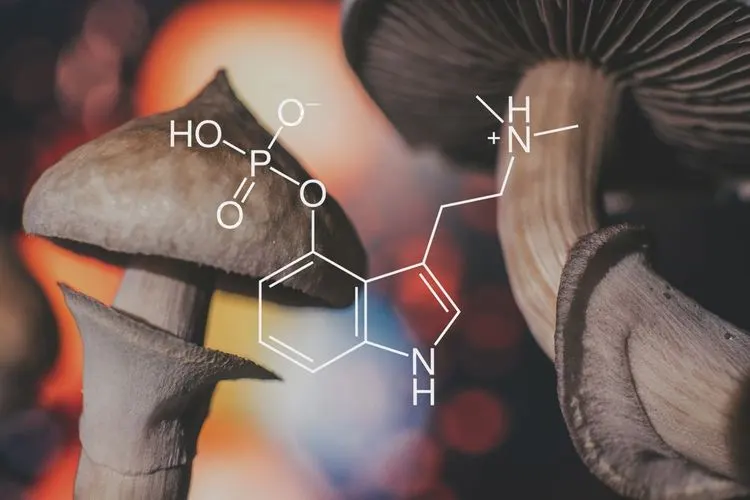 Study shows that psilocybin has at least the same effect as antidepressants