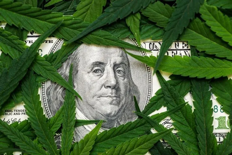 When will cannabis stocks be profitable again?