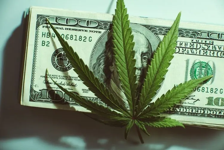 Wells Fargo raises four stocks of cannabis