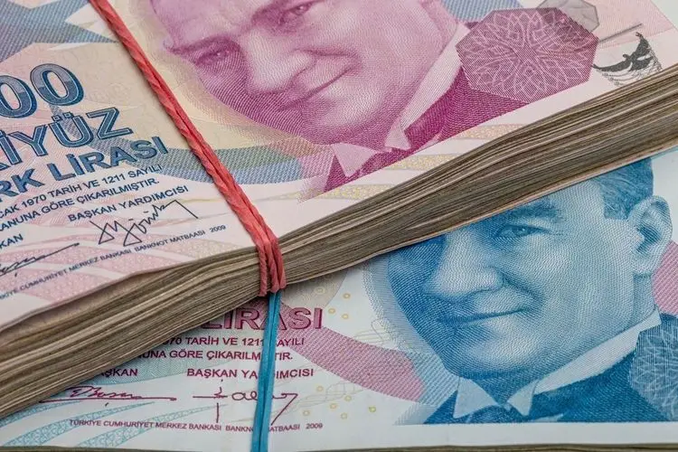 Turkish lira crashes