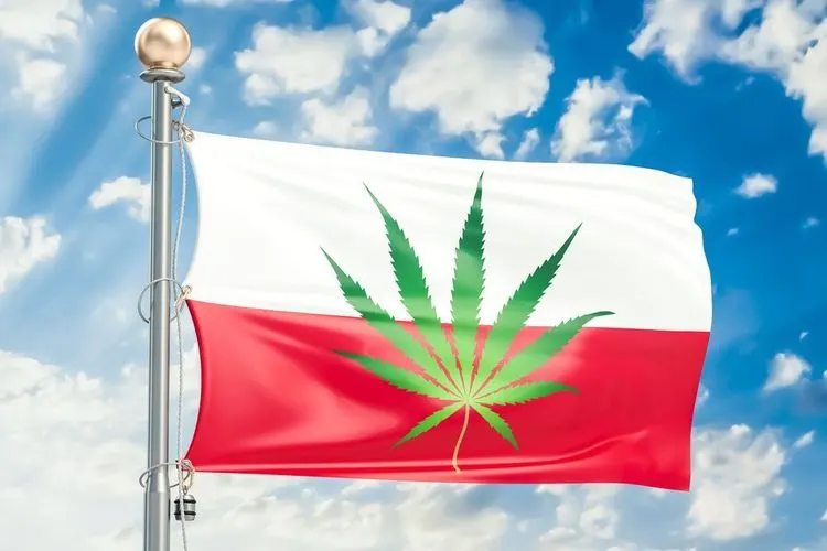 There might now be a Cannabis reform even in Poland
