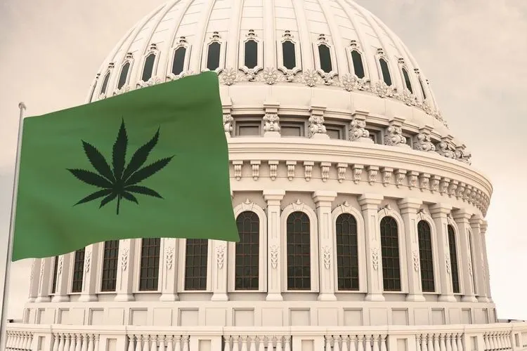Congress to consider marijuana reform in spring