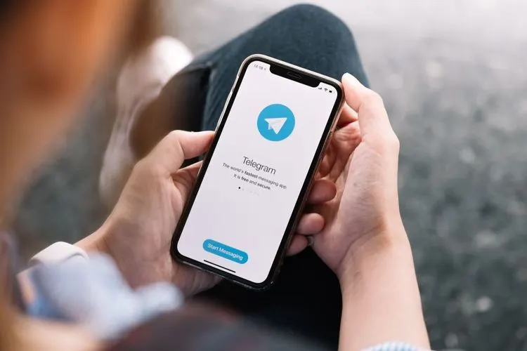 Telegram and Signal strongly expand their user base