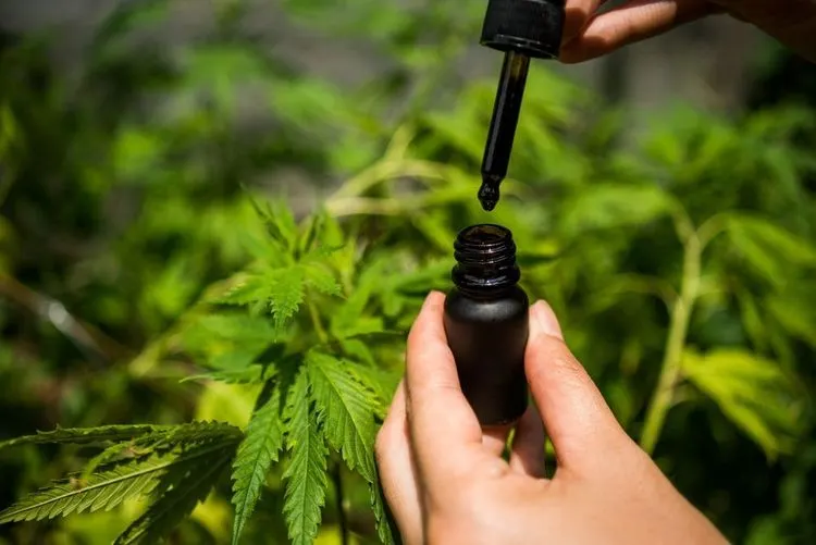 Real Brands has done their CBD homework