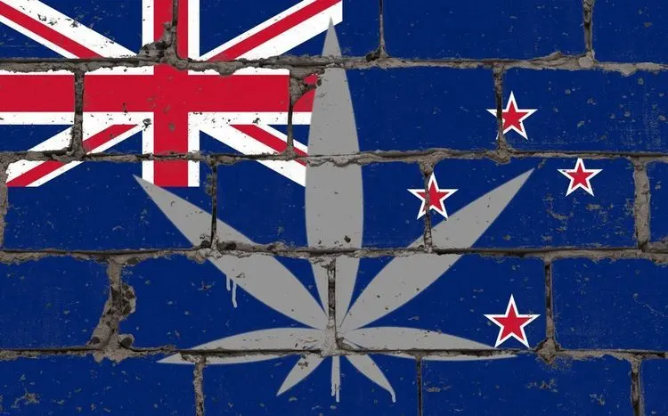 Vote in New Zealand rejects legalization of cannabis